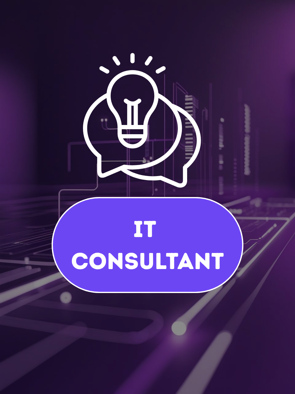 IT Consultant